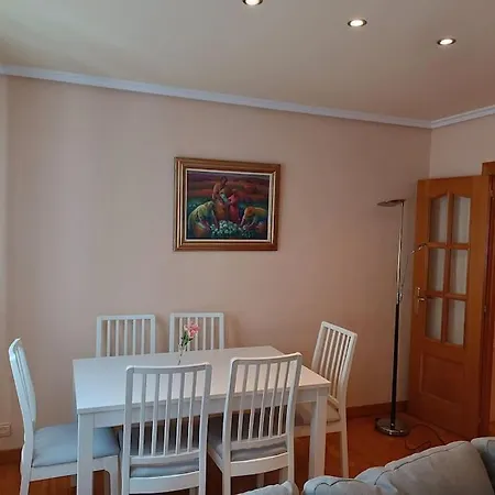 Appartement Piso Centro Evolucion Burgo